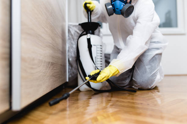 Reliable Hoxie, KS Pest Control Solutions