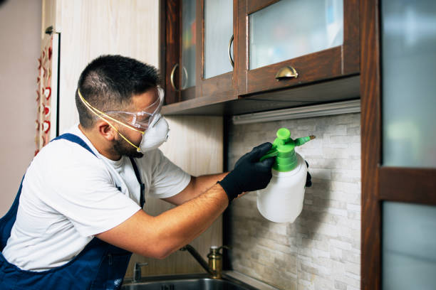 Best Emergency Pest Control  in Hoxie, KS