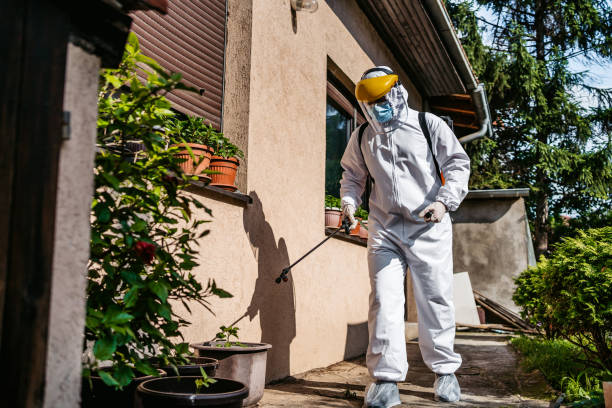Professional Pest Control in Hoxie, KS