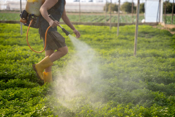 Best Pest Prevention Services  in Hoxie, KS