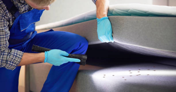 Best Flea Control Services  in Hoxie, KS